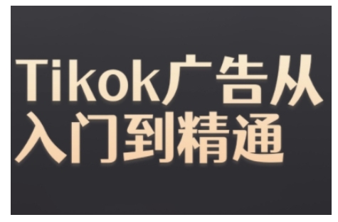 Tiktok Ads实操教程，Tiktok广告从入门到精通_微雨项目网