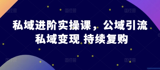 私域进阶实操课，公域引流 私域变现 持续复购_微雨项目网