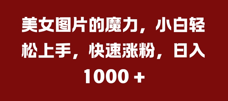 美女图片的魔力，小白轻松上手，快速涨粉，日入几张【揭秘】_微雨项目网