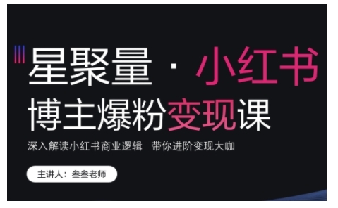 小红书博主爆粉变现课，深入解读小红书商业逻辑，带你进阶变现大咖_微雨项目网