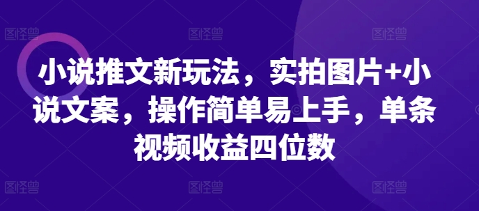 小说推文新玩法，实拍图片+小说文案，操作简单易上手，单条视频收益四位数_微雨项目网