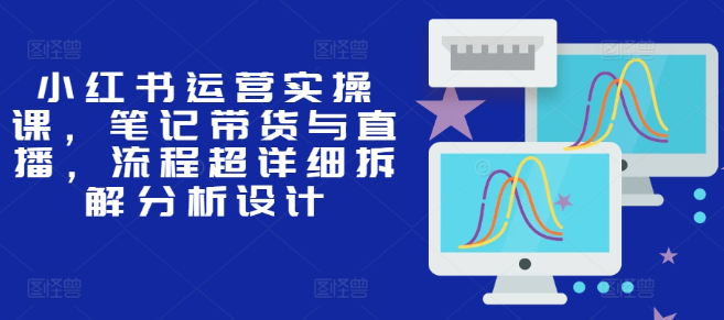 小红书运营实操课，笔记带货与直播，流程超详细拆解分析设计_微雨项目网