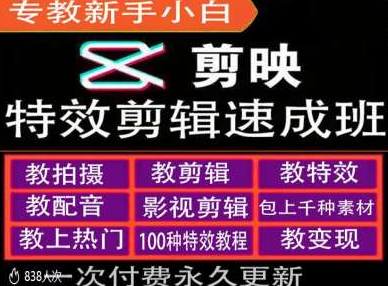 剪映特效教程和运营变现教程，特效剪辑速成班，专教新手小白_微雨项目网