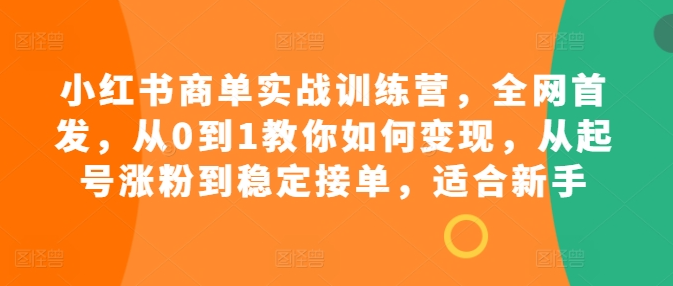 小红书商单实战训练营，全网首发，从0到1教你如何变现，从起号涨粉到稳定接单，适合新手_微雨项目网