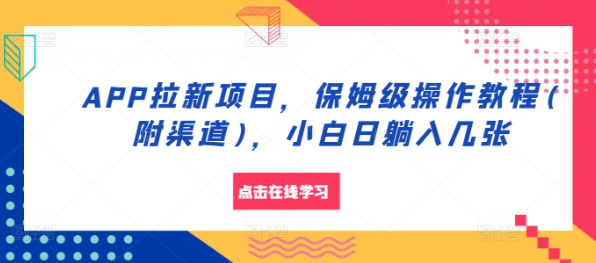 APP拉新项目，保姆级操作教程(附渠道)，小白日躺入几张【揭秘】_微雨项目网