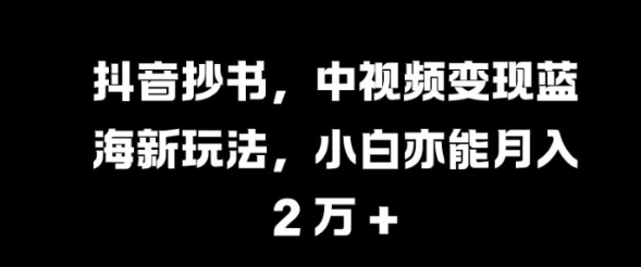 抖音抄书，中视频变现蓝海新玩法，小白亦能月入 过W【揭秘】_微雨项目网