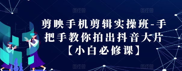 剪映手机剪辑实操班-手把手教你拍出抖音大片【小白必修课】_微雨项目网