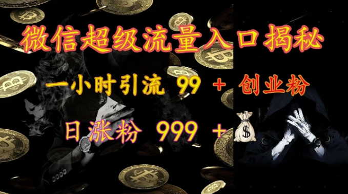 微信超级流量入口揭秘：一小时引流 99 + 创业粉，日涨粉 999 +_微雨项目网