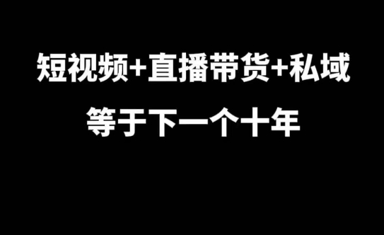 短视频+直播带货+私域等于下一个十年，大佬7年实战经验总结_微雨项目网