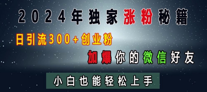 2024年独家涨粉秘籍，日引流300+创业粉，加爆你的微信好友，小白也能轻松上手_微雨项目网