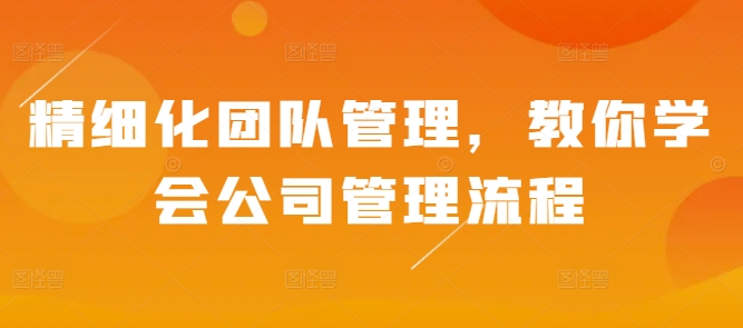 精细化团队管理，教你学会公司管理流程_微雨项目网