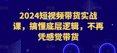 2024短视频带货实战课，搞懂底层逻辑，不再凭感觉带货_微雨项目网