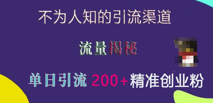 不为人知的引流渠道，流量揭秘，实测单日引流200+精准创业粉【揭秘】_微雨项目网