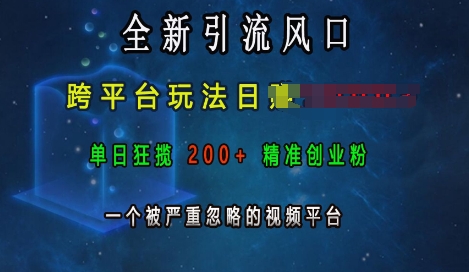 全新引流风口，跨平台玩法日入上k，单日狂揽200+精准创业粉，一个被严重忽略的视频平台_微雨项目网