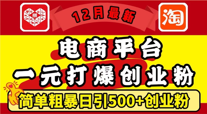 12月最新：电商平台1元打爆创业粉，简单粗暴日引500+精准创业粉，轻松月入过W【揭秘】_微雨项目网