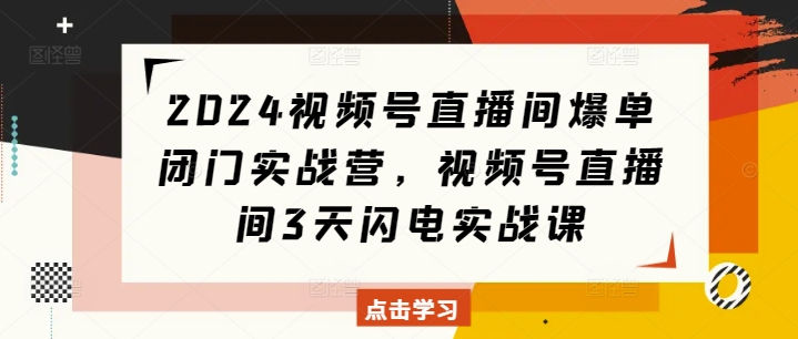 2024视频号直播间爆单闭门实战营，视频号直播间3天闪电实战课_微雨项目网