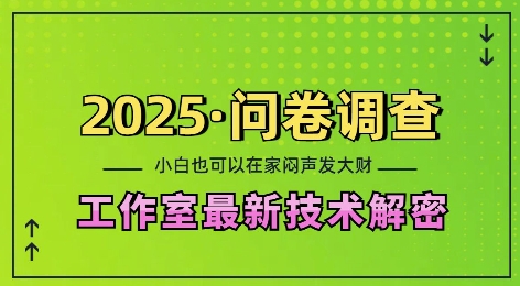 2025问卷调查最新工作室技术解密：一个人在家也可以闷声发大财，小白一天2张，可矩阵放大【揭秘】_微雨项目网