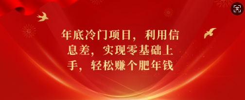 年底冷门项目，利用信息差，实现零基础上手，轻松赚个肥年钱【揭秘】_微雨项目网