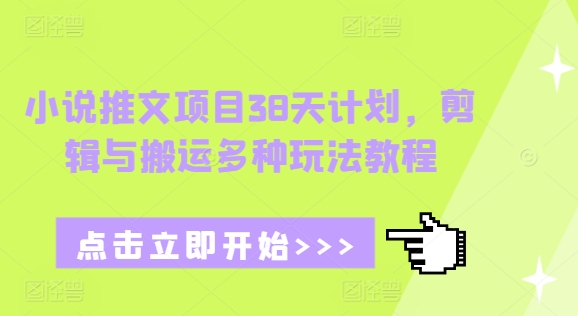 小说推文项目38天计划，剪辑与搬运多种玩法教程_微雨项目网