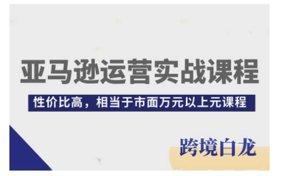 亚马逊运营实战课程，亚马逊从入门到精通，性价比高，相当于市面万元以上元课程_微雨项目网