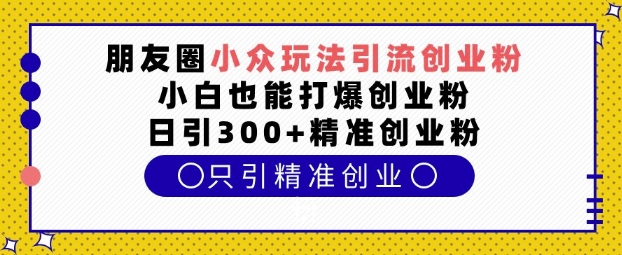 朋友圈小众玩法引流创业粉，小白也能打爆创业粉，日引300+精准创业粉【揭秘】_微雨项目网