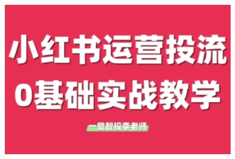 小红书运营投流，小红书广告投放从0到1的实战课，学完即可开始投放_微雨项目网