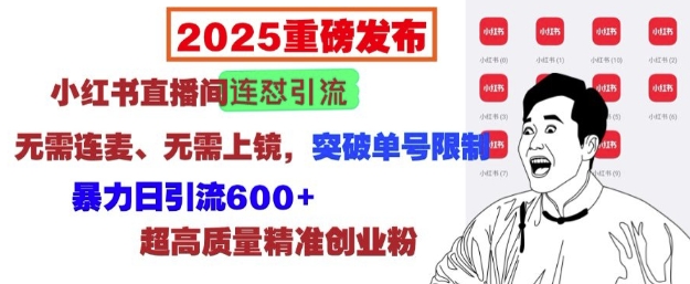 2025重磅发布：小红书直播间连怼引流，无需连麦、无需上镜，突破单号限制，暴力日引流600+_微雨项目网