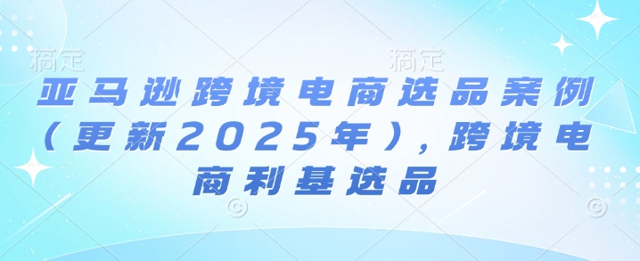 亚马逊跨境电商选品案例(更新2025年)，跨境电商利基选品_微雨项目网