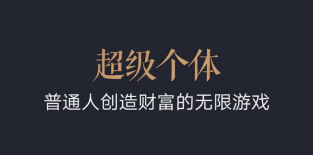 超级个体：2024-2025翻盘指南，普通人创造财富的无限游戏_微雨项目网