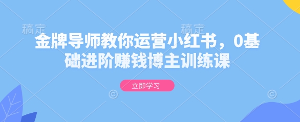 金牌导师教你运营小红书，0基础进阶赚钱博主训练课_微雨项目网