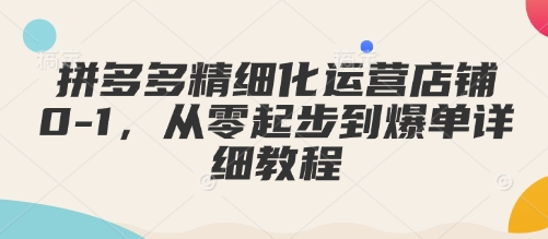 拼多多精细化运营店铺0-1，从零起步到爆单详细教程_微雨项目网