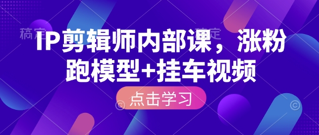 IP剪辑师内部课，涨粉跑模型+挂车视频_微雨项目网