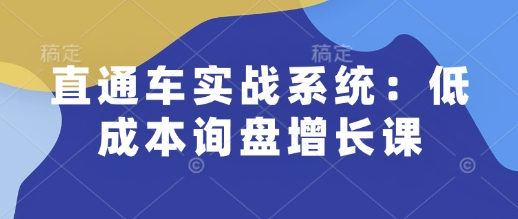 直通车实战系统：低成本询盘增长课，让个人通过技能实现升职加薪，让企业低成本获客，订单源源不断_微雨项目网