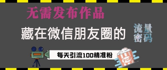 藏在微信朋友圈的流量密码，无需发布作品，单日引流100+精准创业粉【揭秘】_微雨项目网