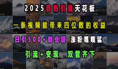 2025自热引流天花板，一条视频能带来四位数的收益，引流+变现双管齐下，日引500+创业粉，涨粉嘎嘎猛_微雨项目网