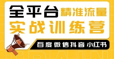 全平台精准流量实战训练营，百度微信抖音小红书SEO引流教程_微雨项目网