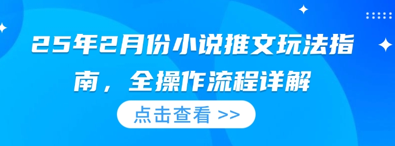 25年2月份小说推文玩法指南，全操作流程详解_微雨项目网