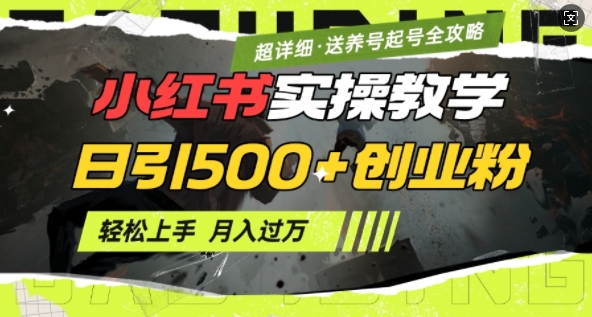 2月小红书最新日引500+创业粉实操教学【超详细】小白轻松上手，月入1W+，附小红书养号起号SOP_微雨项目网