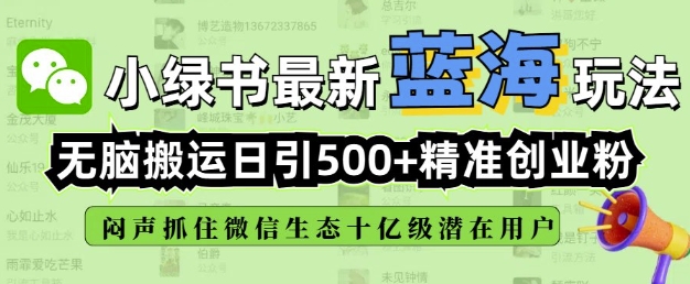 小绿书无脑搬运引流，全自动日引500精准创业粉，微信生态内又一个闷声发财的机会_微雨项目网