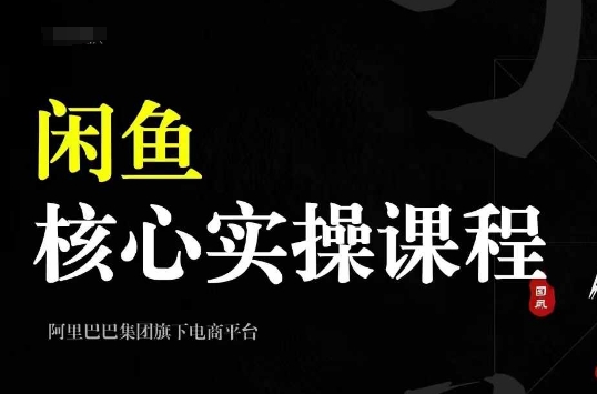 2024闲鱼核心实操课程，从养号、选品、发布、销售，教你做一个出单的闲鱼号_微雨项目网