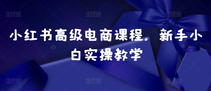 小红书高级电商课程，新手小白实操教学_微雨项目网