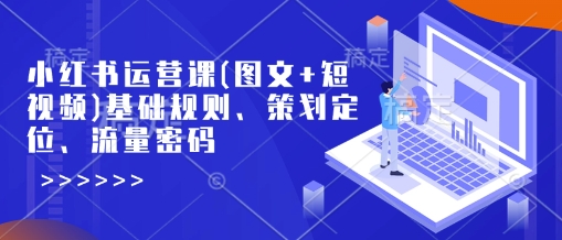 小红书运营课(图文+短视频)基础规则、策划定位、流量密码_微雨项目网