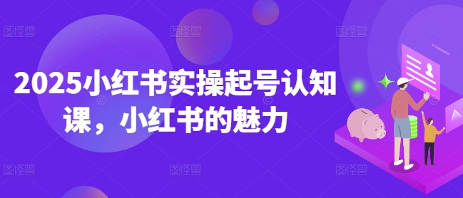 2025小红书实操起号认知课，小红书的魅力_微雨项目网