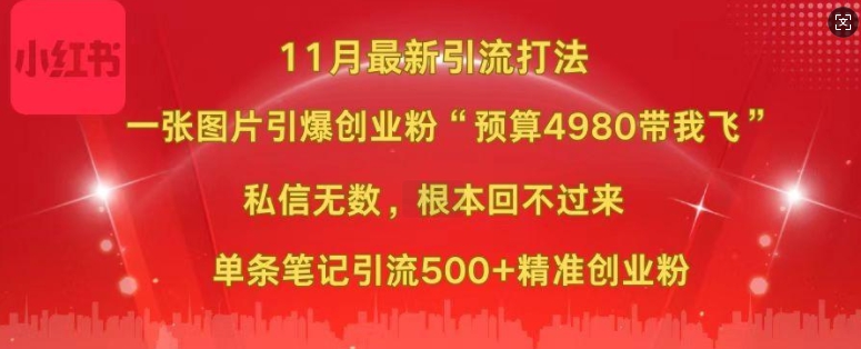 小红书11月最新图片打粉，一张图片引爆创业粉，“预算4980带我飞”，单条引流500+精准创业粉_微雨项目网