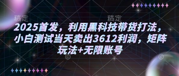 2025首发，利用黑科技带货打法，小白测试当天卖出3612利润，矩阵玩法+无限账号【揭秘】_微雨项目网