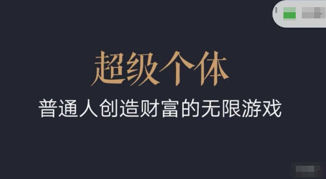 超级个体2024-2025翻盘指南，普通人创造财富的无限游戏_微雨项目网