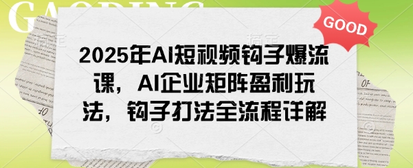 2025年AI短视频钩子爆流课，AI企业矩阵盈利玩法，钩子打法全流程详解_微雨项目网