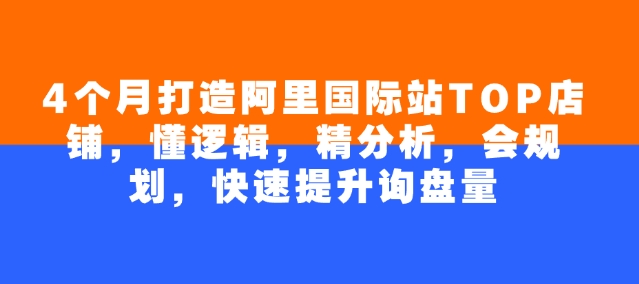 4个月打造阿里国际站TOP店铺，懂逻辑，精分析，会规划，快速提升询盘量_微雨项目网