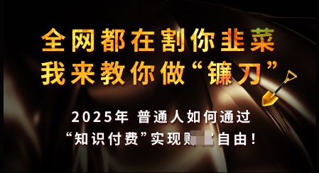 知识付费如何做到月入过W+，2025我来教你做“镰刀”【揭秘】_微雨项目网