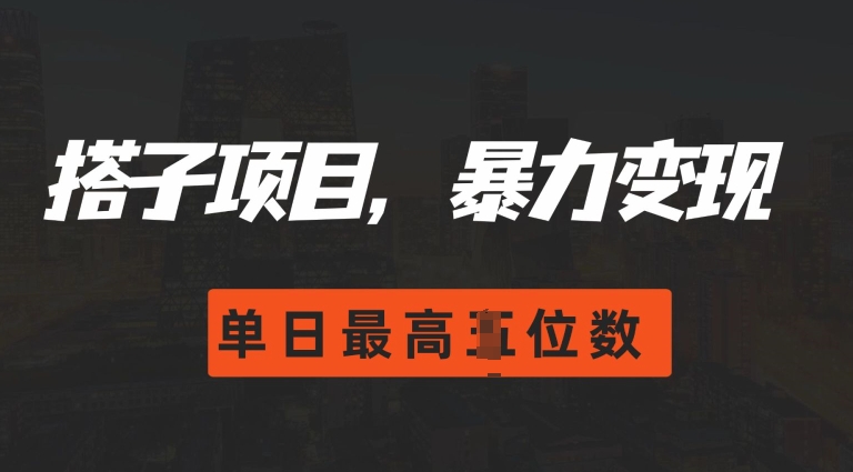 2024搭子玩法，0门槛，暴力变现，单日最高破四位数【揭秘】_微雨项目网